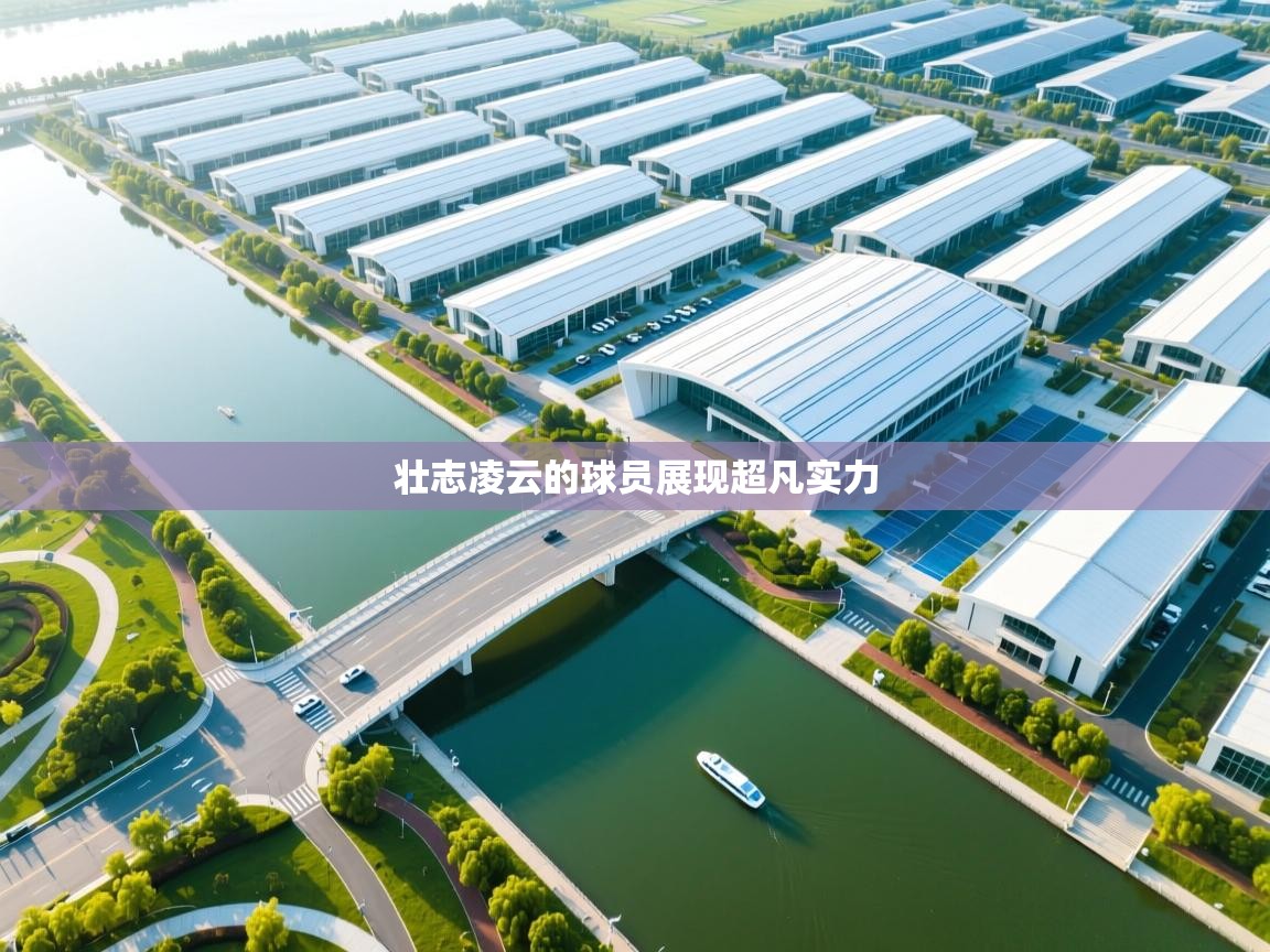 壮志凌云的球员展现超凡实力  第2张