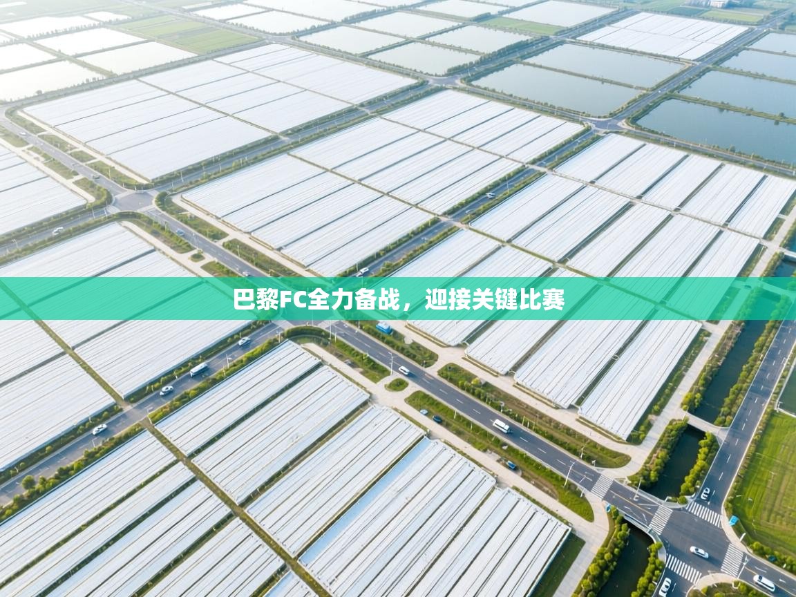 巴黎FC全力备战,迎接关键比赛 第2张